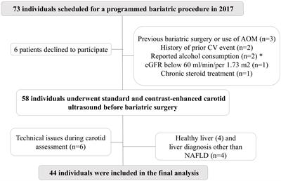 Influence of nonalcoholic fatty liver disease severity on carotid adventitial vasa vasorum